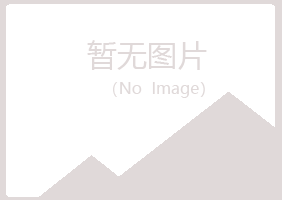 江岸区盼夏批发有限公司